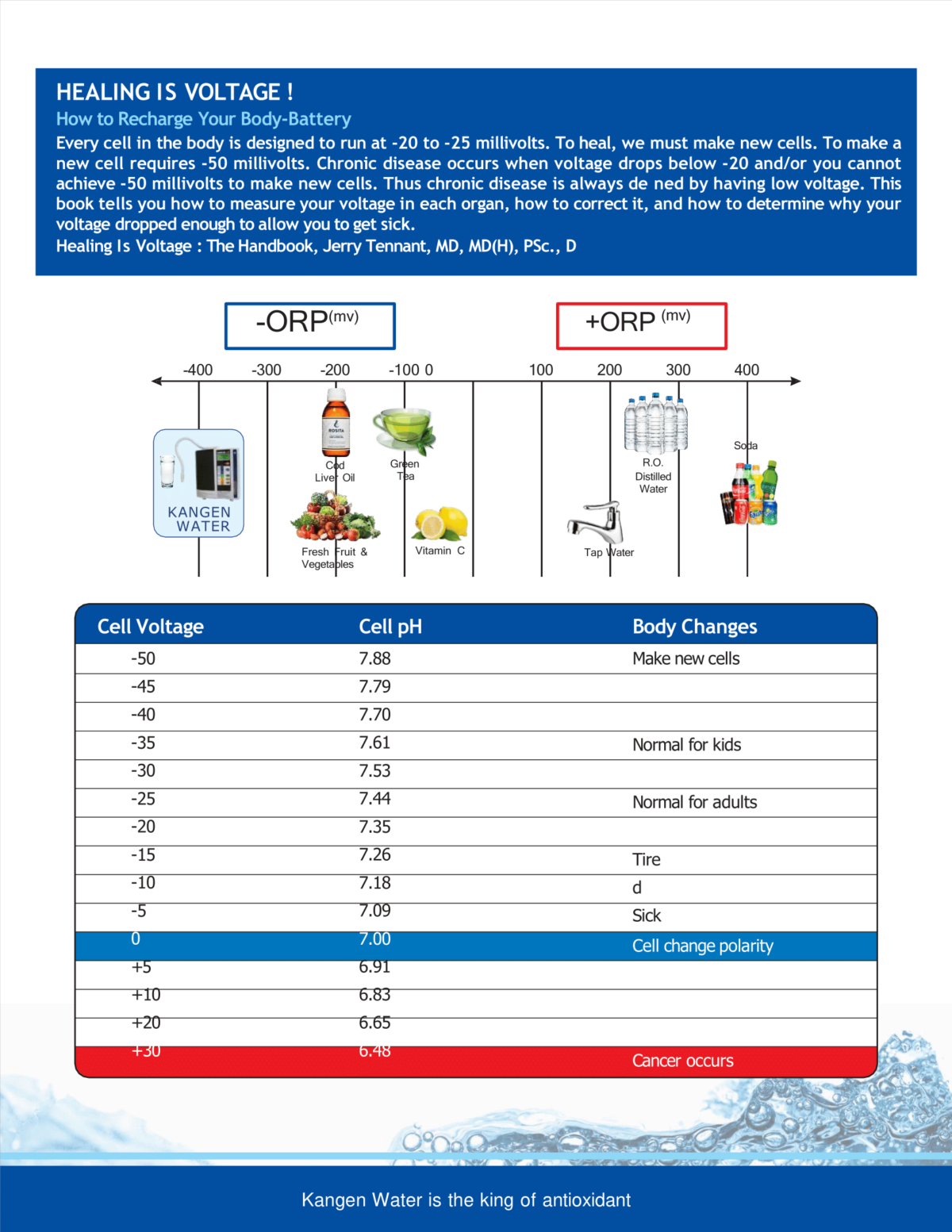 Home 11 Enagic Product Brochure new 06